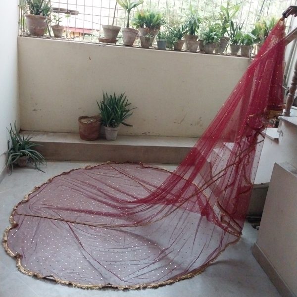 Fancy veil with kashi kiran