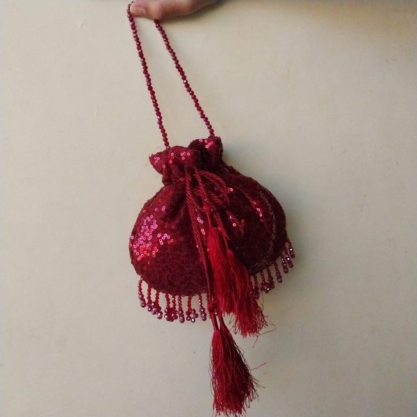 Shiny Potli