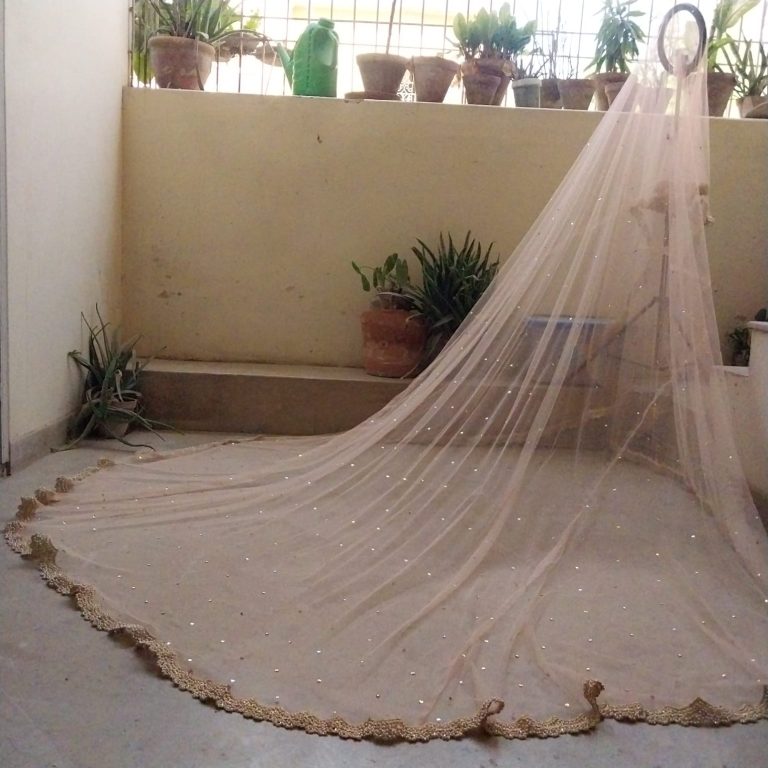 Aafreen Veil
